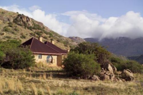Mountain Zebra NP (3)